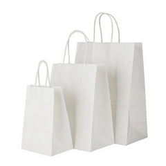 White Paper Bag with Handle