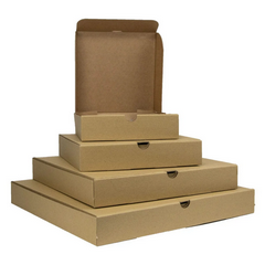 Disposable Meal Box / Takeaway Box